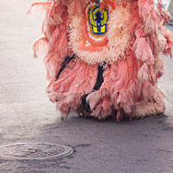 完整安装包的轰炸手机号软件